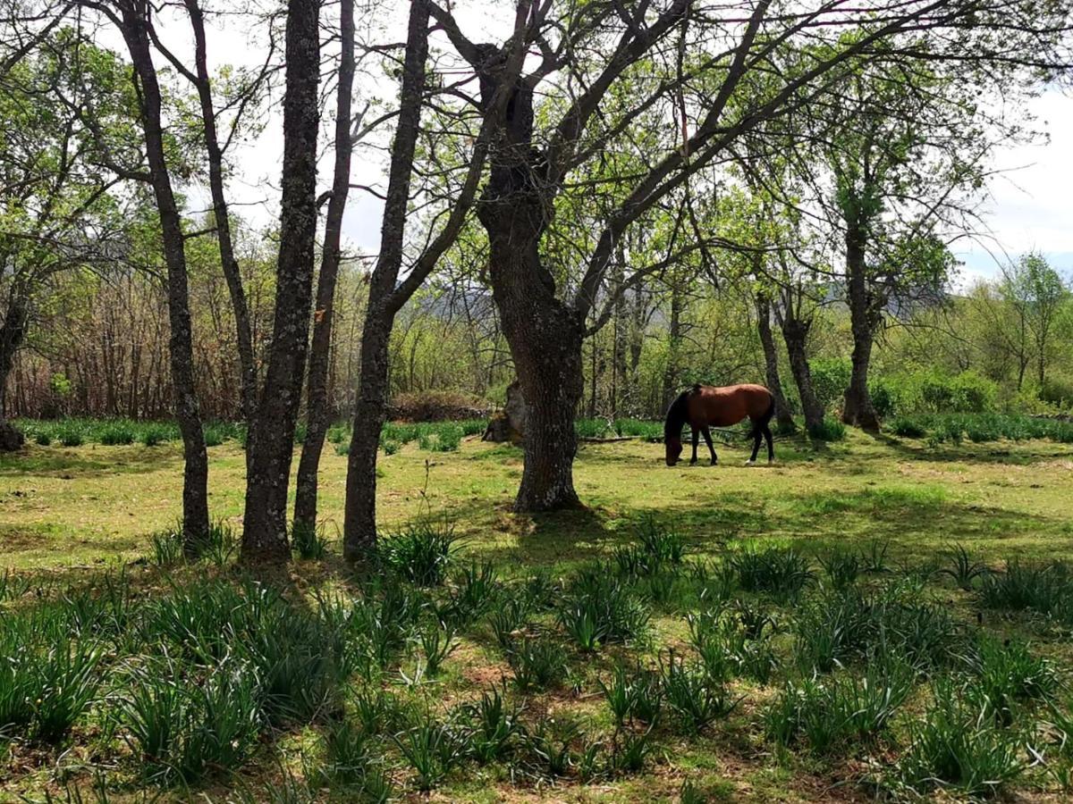 Acogedora Y Romantica Casita En La Sierra Garganta De Los Montes Luaran gambar